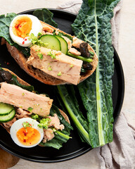 Homemade tuna sandwiches.