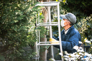 庭師　植木屋　造園屋