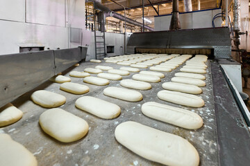 Dough formation for sliced loaves in a bakery plant during a production process