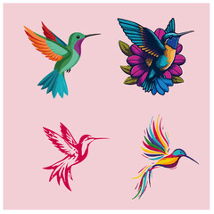 bird colour vector picture 7