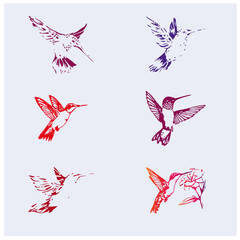 bird colour vector picture 9