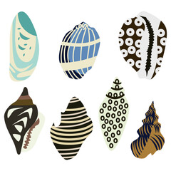 Set of hand drawn seashells