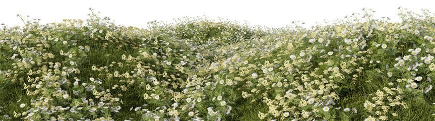Flower field and meadow on the hill in springtime - PNG file, 3D rendering illustration