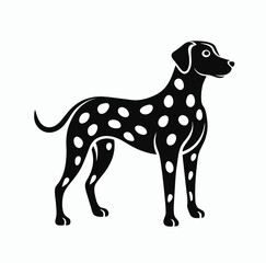 black and white dog