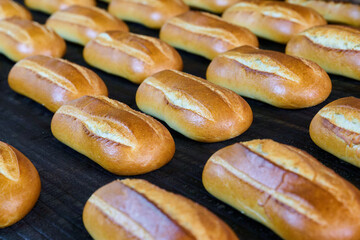 Freshly baked bread rolls emerge from bakery oven showcasing golden crust and soft interior
