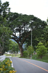 road in the park