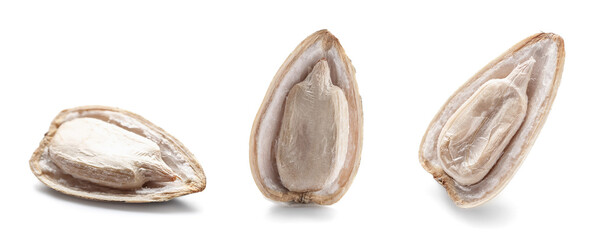 Set of sunflower seeds on white background