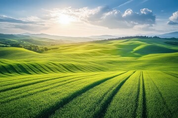 Obraz premium Expansive rural agricultural land with rolling green fields in Tuscany under a clear blue sky, Rural Scene Of Agricultural Land With Fields In Tuscany, Italy Aerial Wide Shot