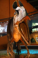 close-up of the head of a reconstructed theropod Cryolophosaurus from the early Jurassic period, the progenitor of the allosauroid lineage
