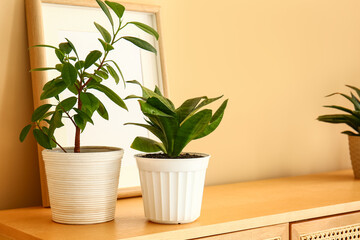 Green houseplants with frame on chest of drawers near beige wall