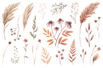 Collection of watercolor botanical elements isolated on transparent background