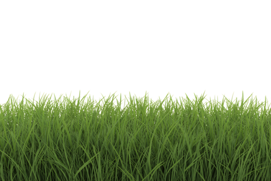 Green grass border isolated on transparent background - Powered by Adobe