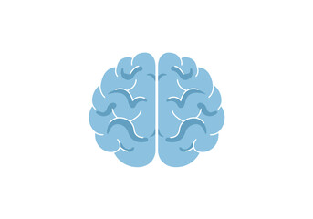 A light blue cartoon brain symmetrical with a white divider sits on a blank white background