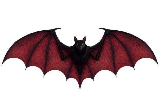 Dark bat with crimson wings, centered on white background