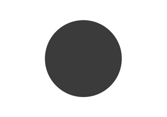 Solid dark gray circle on a stark white background