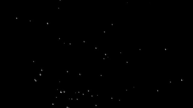 dust particles floating on black background. fireflies magic sparkles floating particles, dust particles isolated on black background. Flying dust particles on a black background