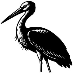Stork with long beak silhouette