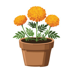 Orange Marigold in Terracotta Pot