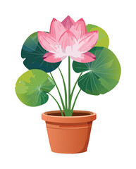 Pink Lotus Flower in Pot