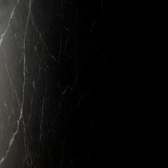 Dark Veined Marble Texture: Black and White Abstract Background
