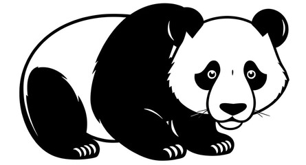 panda bear vector illustration