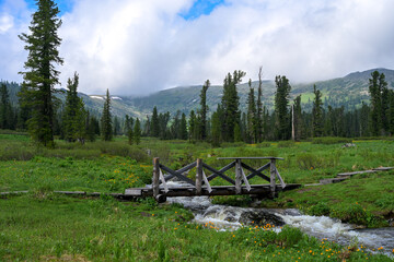 Mountain river rushing through forest in summer, surrounded by pine trees and rocky banks. Cloudy sky above Siberian Ergaki mountains. Wild, untouched nature, peaceful and dramatic landscape.