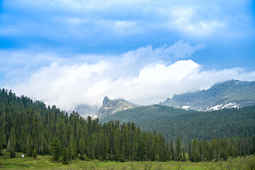 Mountain summer landscape with dense pine trees under low rainy clouds. River, nobody, wildness territory for hiking 