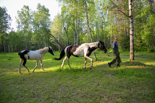 rustic man with  horse in rural village near  forest.  horse farm is surrounded by nature, hay is stacked nearby,  peaceful and traditional.  man is caring for  horse