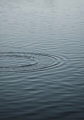 Fototapeta premium Serene Water Ripples A Calming Image of Tranquil Water
