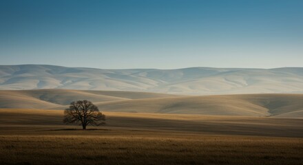 Obraz premium Lone Tree on Rolling Hills Landscape