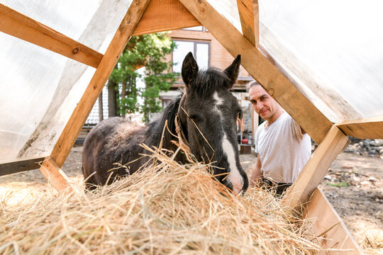 rustic man with  horse in rural village near  forest.  horse farm is surrounded by nature, hay is stacked nearby,  peaceful and traditional.  man is caring for  horse