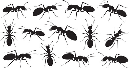Collection of ant silhouettes in various poses