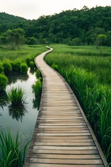 Wooden Walkway Through Lush Green Marsh
