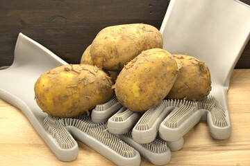 Fresh potatoes are resting on a special cleaning glove, ready for cooking.