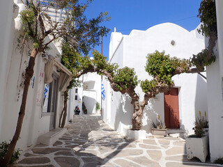 Landscape in Paros island Greece