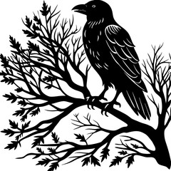 Raven perched on tree silhouette