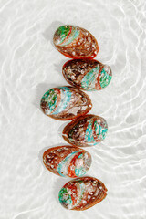 Colored close up shells floating on waves clear white sea water at sunlight. Beauty nature textured Seashells, marine life, nautical style, Minimal summer aesthetic, beach lifestyle, soft pastel color