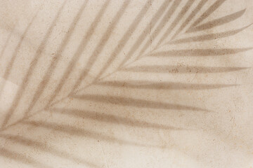 Natural palm leaf shadow on light beige sandy color background with empty space. Summer minimal concept, daylight in sunny day, top view plant sun shade, nature environment pattern, neutral tone