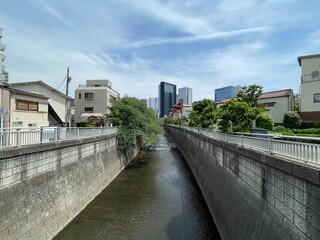 神田川5月：末広橋からの風景 2025/5/14