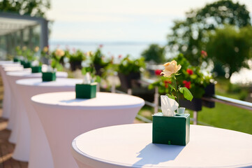 outdoor event setup with elegant tables adorned with rose centerpieces and green decor on sunny terrace overlooking serene garden and water views, perfect for weddings and parties