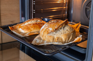 Fresh homemade bread loaves baking in oven on parchment paper with golden crust and rustic texture