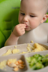 Curious toddler in feeding chair picking at nutritious meal components - corn cereal, green broccoli and egg. Important early eating skills development.