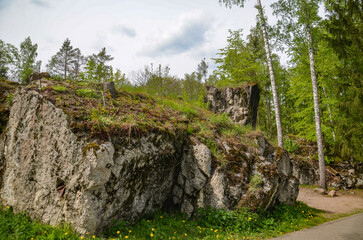remains of buildings, trees, the concrete town of bunkers Wolf's Lair in Gierłoż near Kętrzyn
