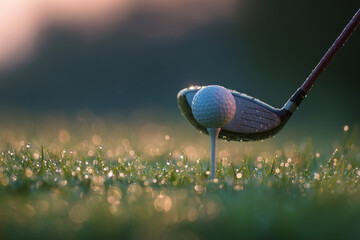 Casual golf game on the green: white golf ball on the tee, near the hole, and ready to be played on the grass