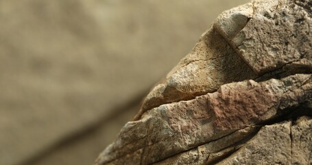 Close-up of layered sedimentary rock with pink tint and cracked ridges