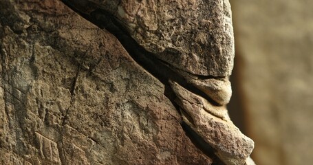 Close-up of layered brown rock with deep fracture and weathered surface