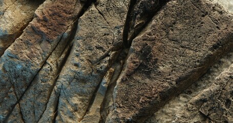 Close-up of cracked brown rock surface with fine texture and deep line