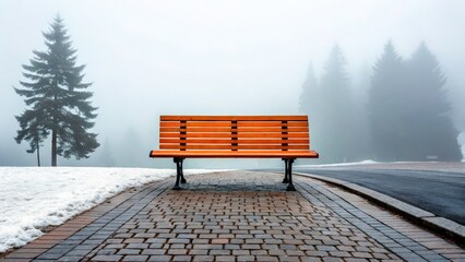 Orange bench on a foggy path surrounded by snow-covered ground and tall trees in a tranquil winter setting