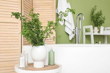 Interior of bathroom with green branches