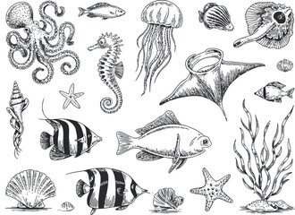 Obraz premium a diverse collection of hand-drawn marine creatures in a monochrome style. Octopus, seahorse, fish, and ray are depicted with intricate details. 